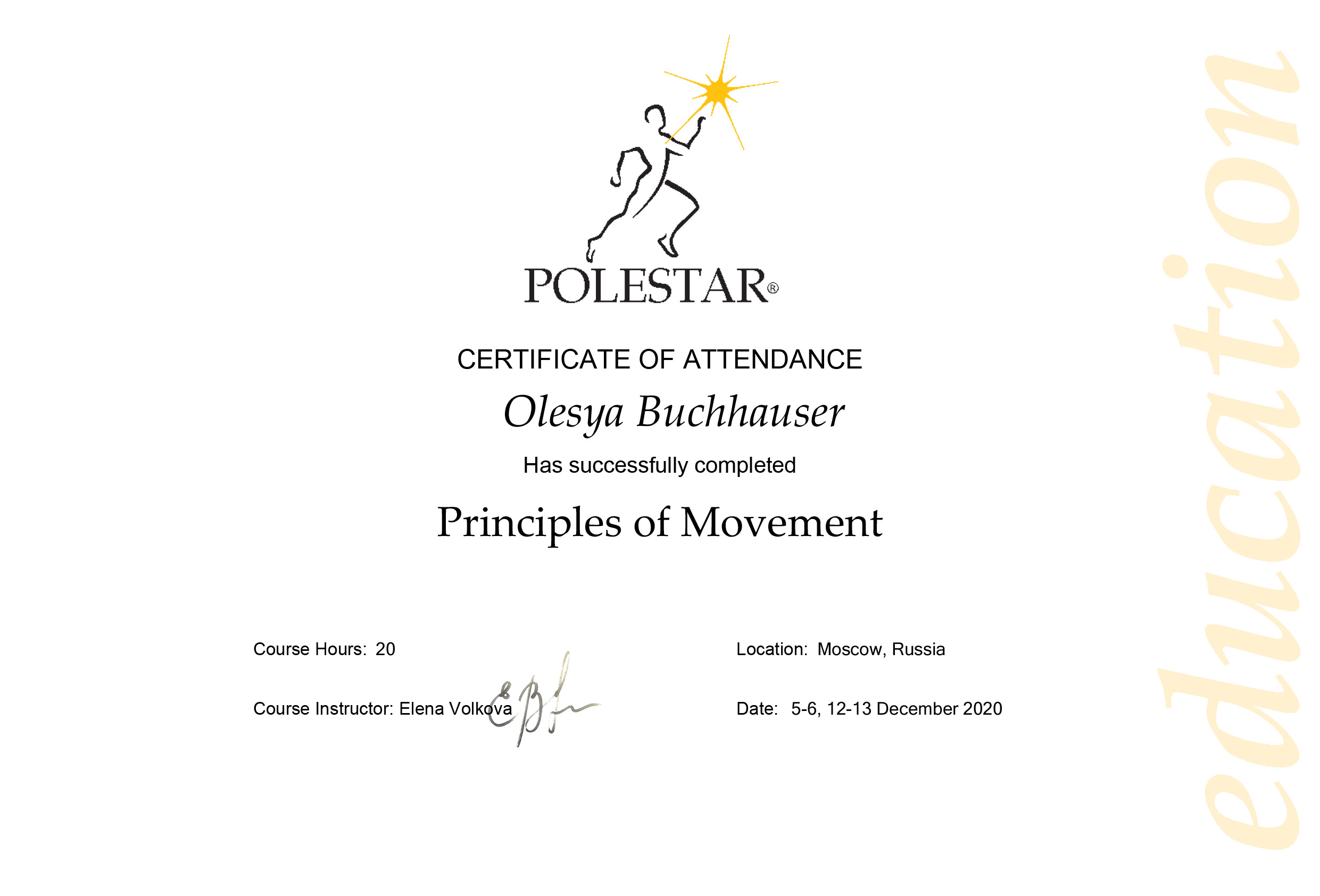 Движения Декабрь Буххаузер